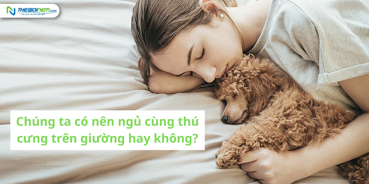Chúng ta có nên ngủ cùng thú cưng trên giường hay không? Tại sao? 