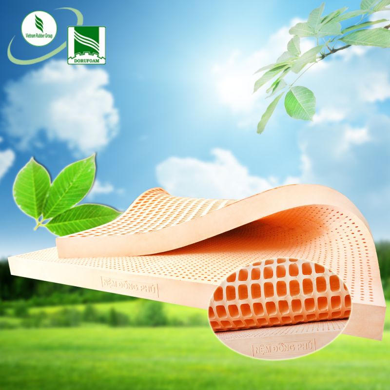 Cửa hàng bán nệm cao su giá rẻ tại quận 10