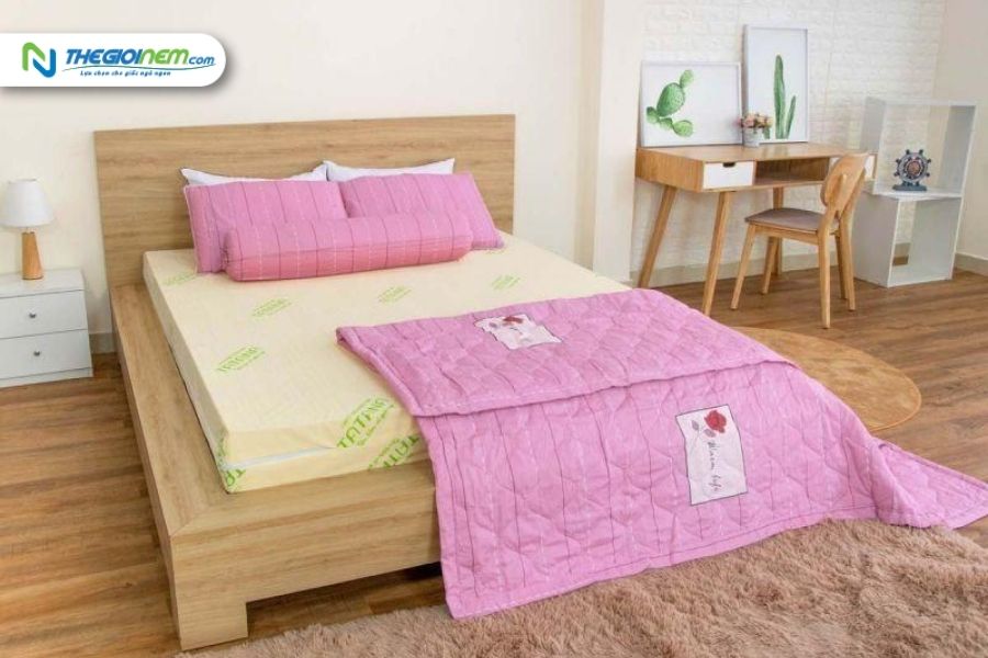 Cửa hàng bán nệm cao su giá rẻ tại quận Bình Thạnh