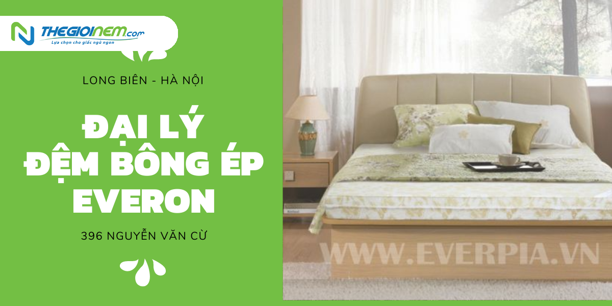 Đại Lý Đệm Everon Giá Rẻ Tại Long Biên - Hà Nội