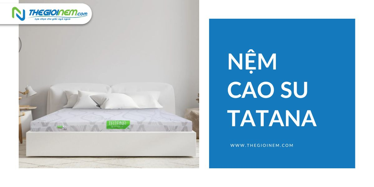 Đại lý nệm Tatana chính hãng, giá rẻ tại Sa Đéc - Đồng Tháp 04