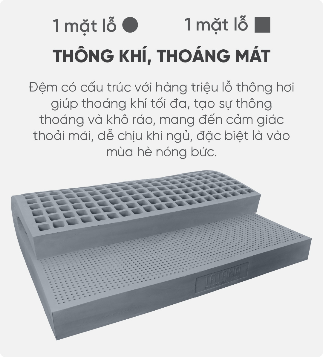 Đệm cao su thiên nhiên than hoạt tính Tatana Cool Grey