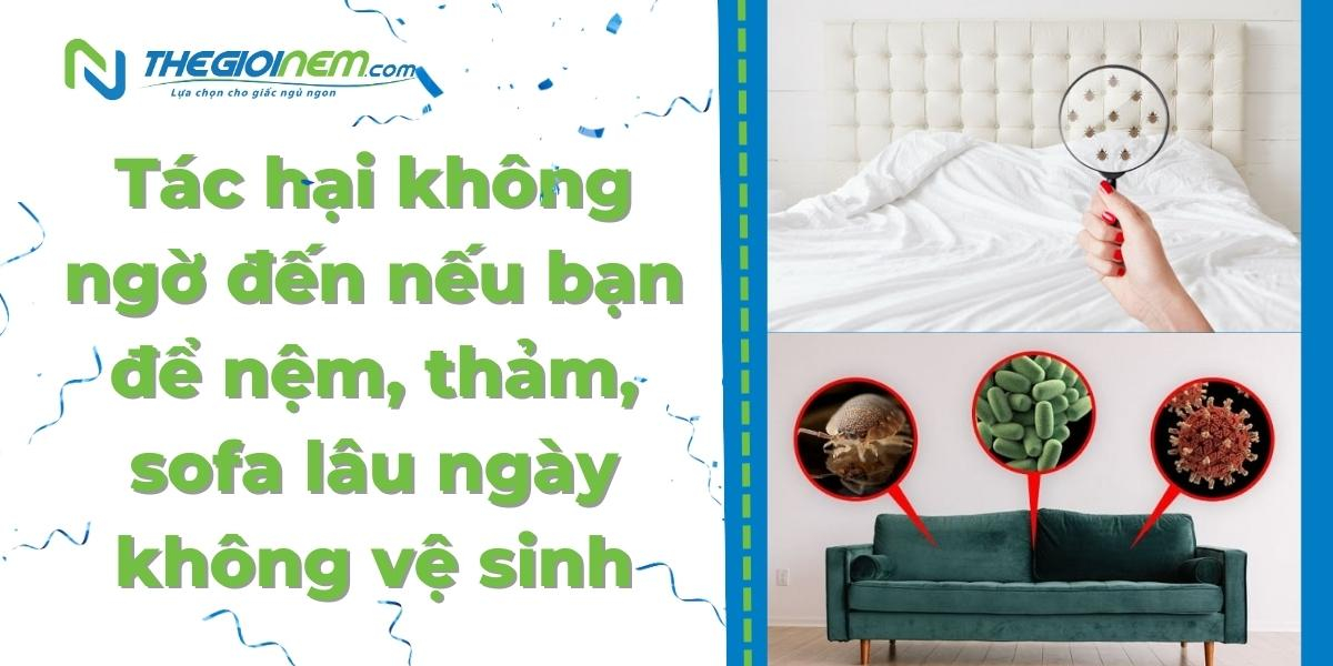 Giặt nệm, thảm, sofa giá rẻ uy tín tại Bình Dương | Thegioinem.com