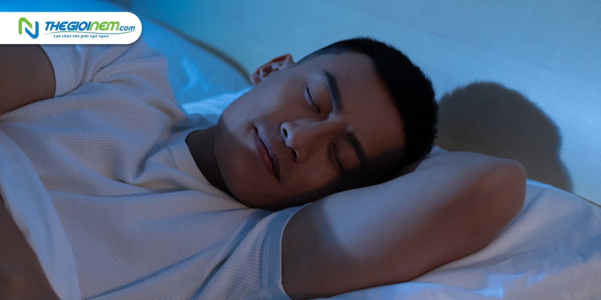 Thời gian "làm việc" của cơ quan nội tạng khi ngủ - Thế Giới Nệm