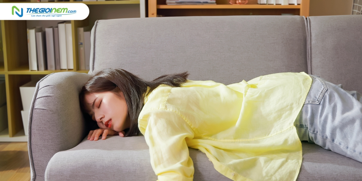 Ngủ trên sofa có lợi và hại như thế nào đối với sức khỏe?