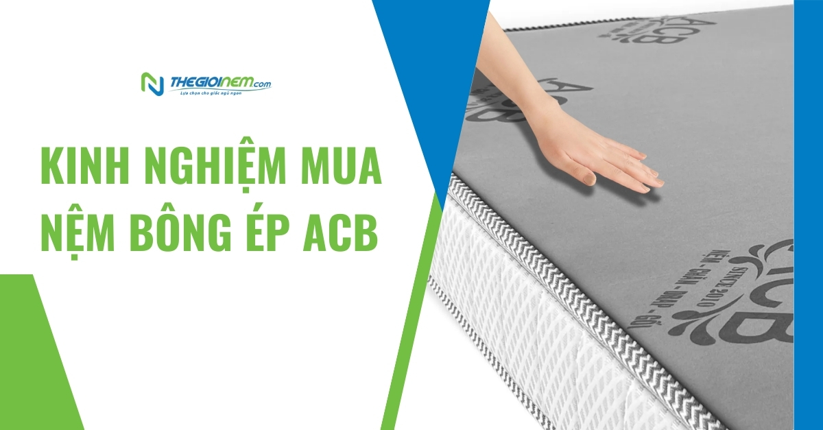 Nệm bông ép ACB