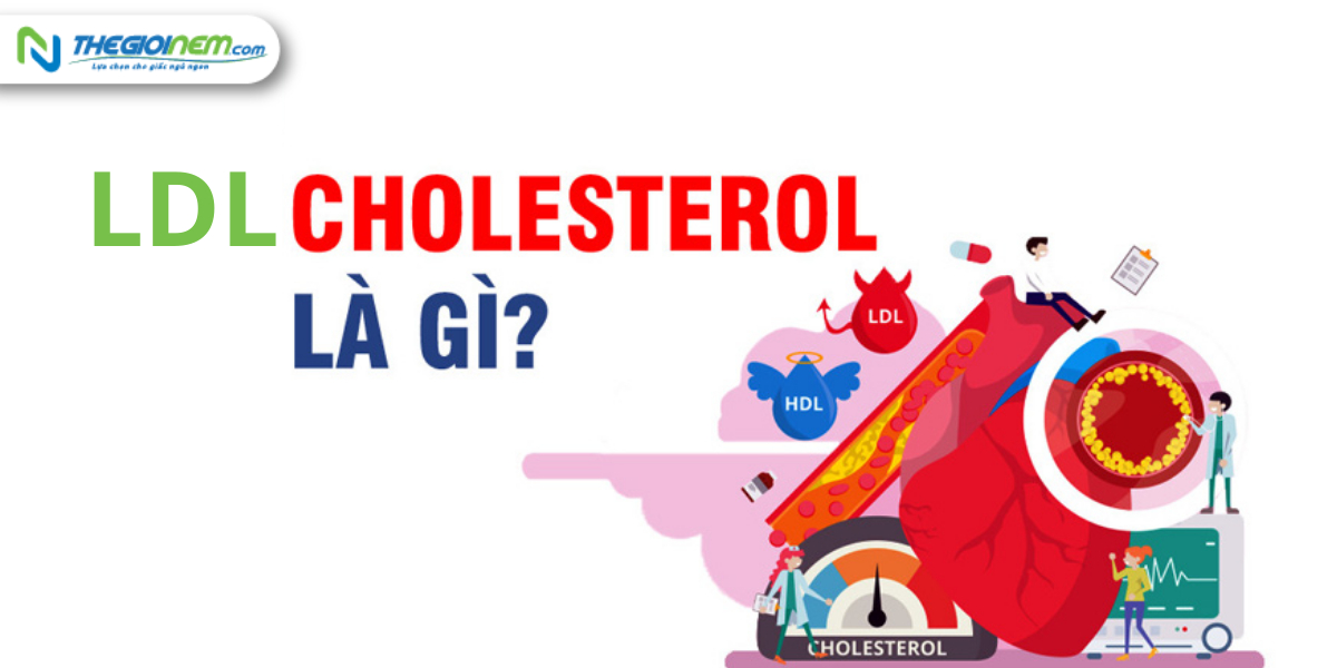 Cách giúp bạn giảm thiểu lượng cholesterol tỉ trọng thấp (LDL cholesterol) một cách khoa học