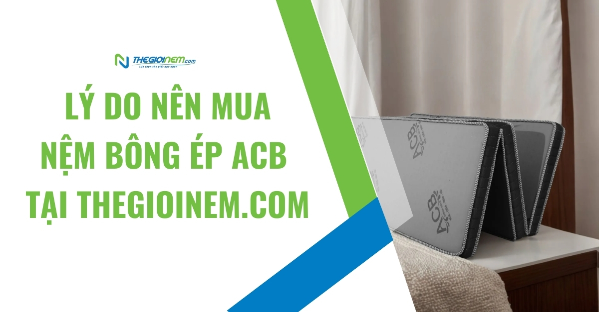 Nệm bông ép ACB