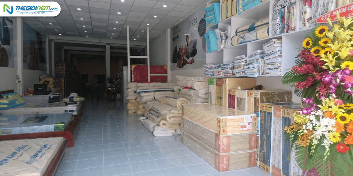 Mua nệm giá sỉ tại Bình Dương