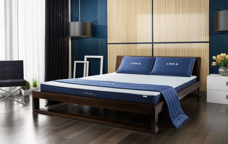 Mua Nệm Liên Á Giá Rẻ Ở Đâu?