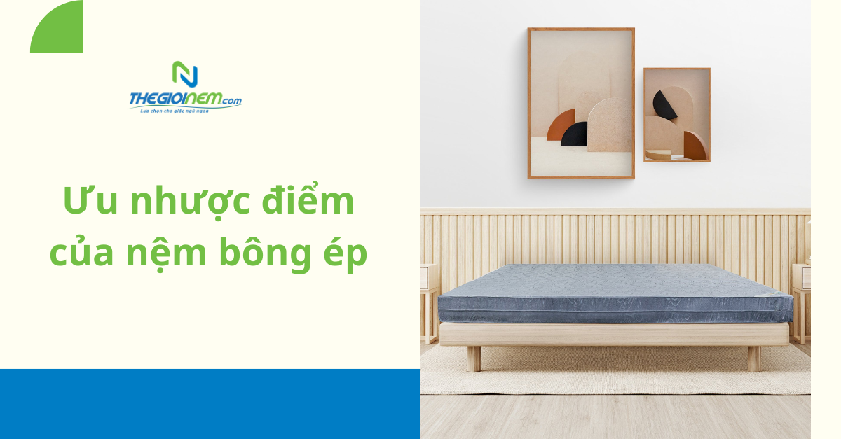 Nệm bông ép cao 5-9cm