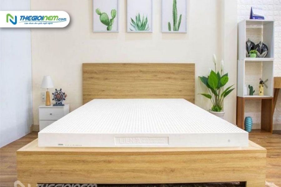 Nệm Cao Su Giá Rẻ Quận Tân Phú - Thegioinem.com