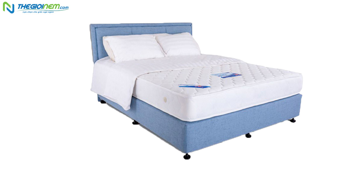 Top nệm Vạn Thành Bán Chạy Tại Thegioinem.com