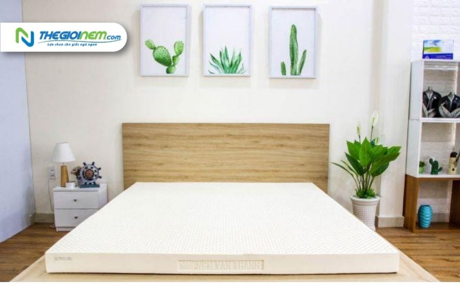 Nệm Vạn Thành 1m8 Giá Bao Nhiêu?