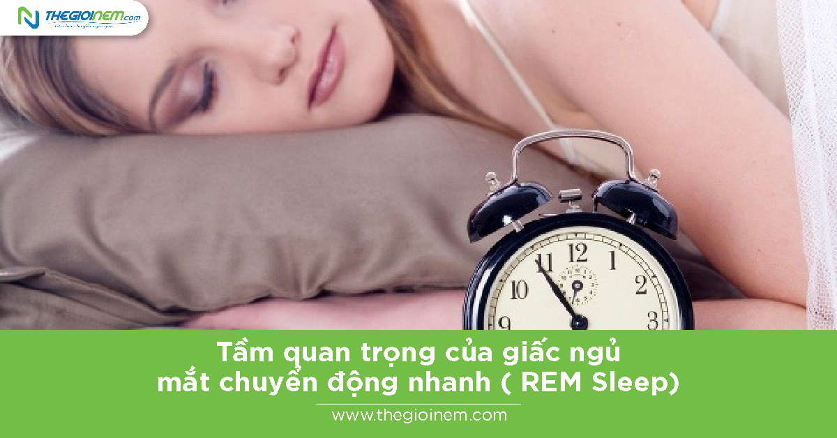 Tầm quan trọng của giấc ngủ mắt chuyển động nhanh ( REM Sleep) 1