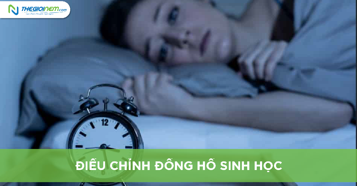 Tầm quan trọng của giấc ngủ mắt chuyển động nhanh ( REM Sleep) 6