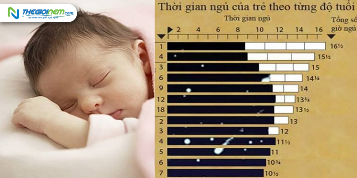 Tìm hiểu về các giai đoạn giấc ngủ của trẻ sơ sinh