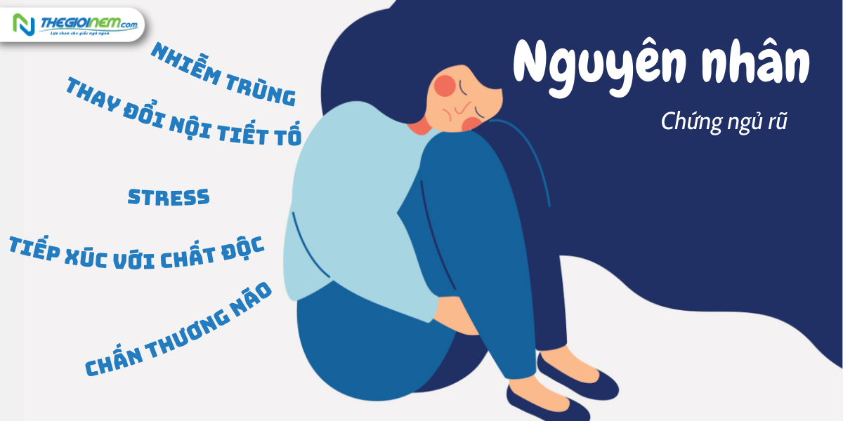Tìm hiểu về hội chứng ngủ rũ (Narcolespy) | Thegioinem.com 03