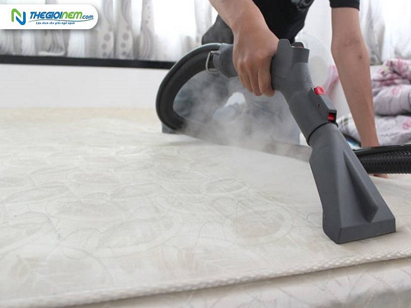 TOP 12 Thương Hiệu Nệm Cao Su Khuyến Mãi, Giá Rẻ Tại Thegioinem.com 19