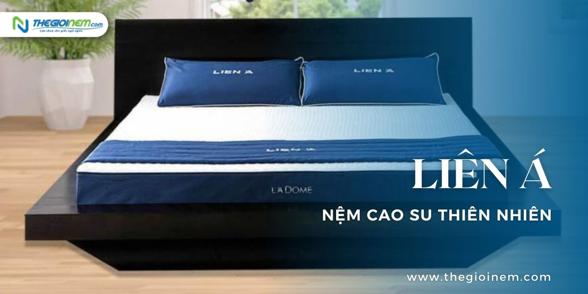 Top nệm dành cho người đau lưng
