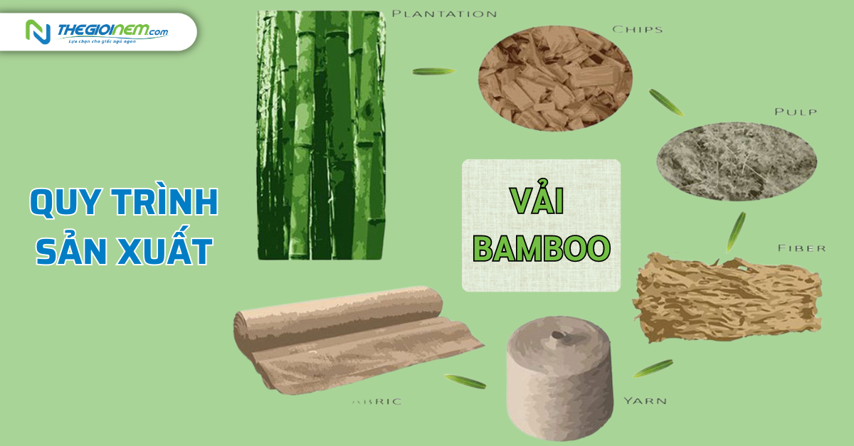 Vải bamboo là gì? Những ưu điểm nổi bật của vải bamboo