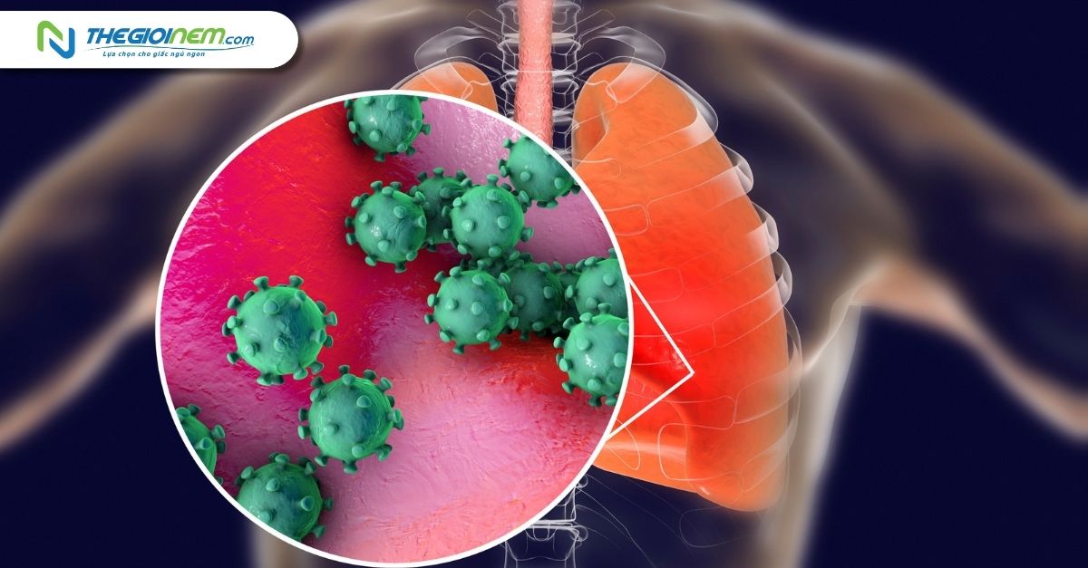Viêm phổi RSV là gì? Cách phòng chống viêm phổi do virus RSV