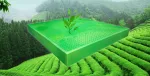 Đệm Foam Green Tea Organic Kim Cương