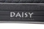 Đệm Lò xo túi kháng cháy Daisy 180x200x30cm (Hàng xả kho)
