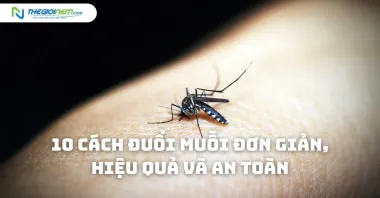 10 cách đuổi muỗi đơn giản, hiệu quả và an toàn