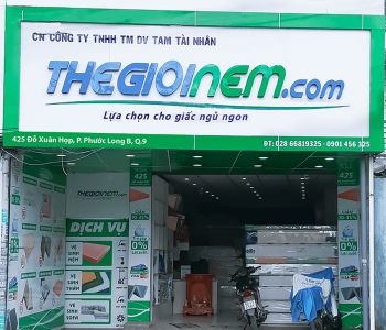 Đại Lý Nệm Vạn Thành Chính Hãng Tại Quận 9 TPHCM