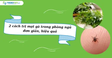 2 cách trị mạt gà trong phòng ngủ đơn giản, hiệu quả