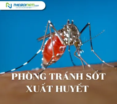 Các biện pháp phòng tránh sốt xuất huyết vào mùa mưa