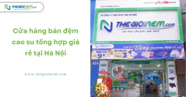 Cửa hàng bán đệm cao su tổng hợp giá rẻ tại Hà Nội