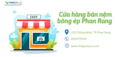 Cửa hàng bán nệm bông ép 229 Thống Nhất, TP.Phan Rang
