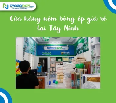 Cửa hàng bán nệm bông ép giá rẻ tại Tây Ninh