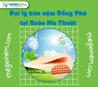 Đại lý bán nệm Đồng Phú tại Buôn Ma Thuột | Thegioinem.com
