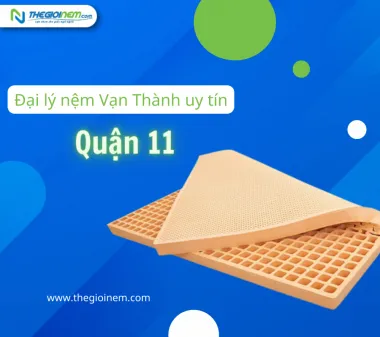 Đại lý bán nệm Vạn Thành chính hãng quận 11 