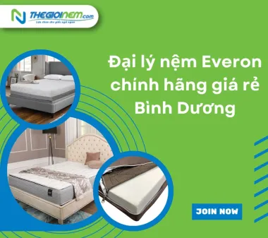 Đại lý nệm Everon chính hãng giá rẻ Bình Dương | Thegioinem.com