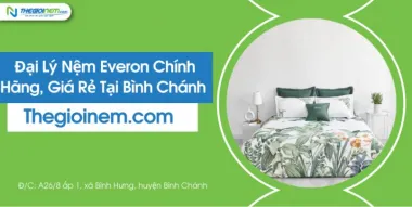 Đại Lý Nệm Everon Chính Hãng, Giá Rẻ Tại Bình Chánh - Thegioinem.com