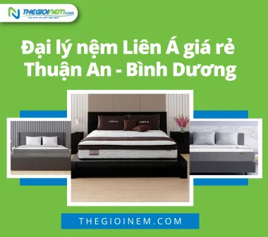 Đại lý nệm Liên Á giá rẻ Thuận An - Bình Dương | Thegioinem.com