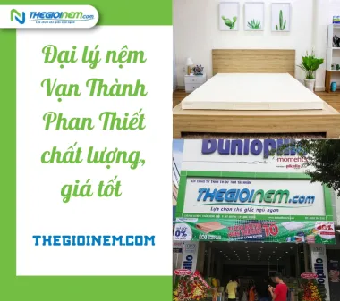 Đại lý nệm Vạn Thành Phan Thiết chất lượng, giá tốt - Thegioinem.com