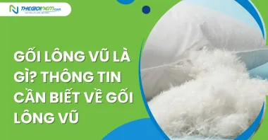 Gối lông vũ là gì? Thông tin cần biết về gối lông vũ