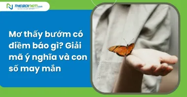 Mơ thấy bướm có điềm báo gì? Giải mã ý nghĩa và con số may mắn