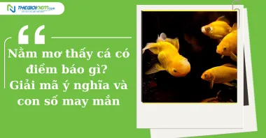 Nằm mơ thấy cá có điềm báo gì? Giải mã ý nghĩa và con số may mắn