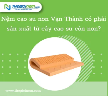 Nệm cao su non Vạn Thành có phải sản xuất từ cây cao su còn non?