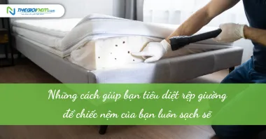 Những cách giúp bạn tiêu diệt rệp giường để chiếc nệm của bạn luôn sạch sẽ 