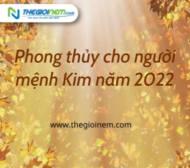Phong thuỷ cho người mệnh Kim năm 2022 | Thegioinem.com