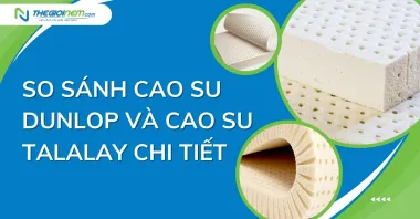 So sánh cao su Dunlop và cao su Talalay chi tiết