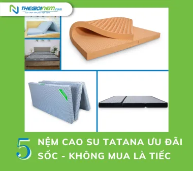 Top 5 nệm cao su Tatana ưu đãi SỐC - không mua là tiếc