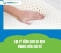 Đại lý đệm cao su non Thanh Hóa giá rẻ